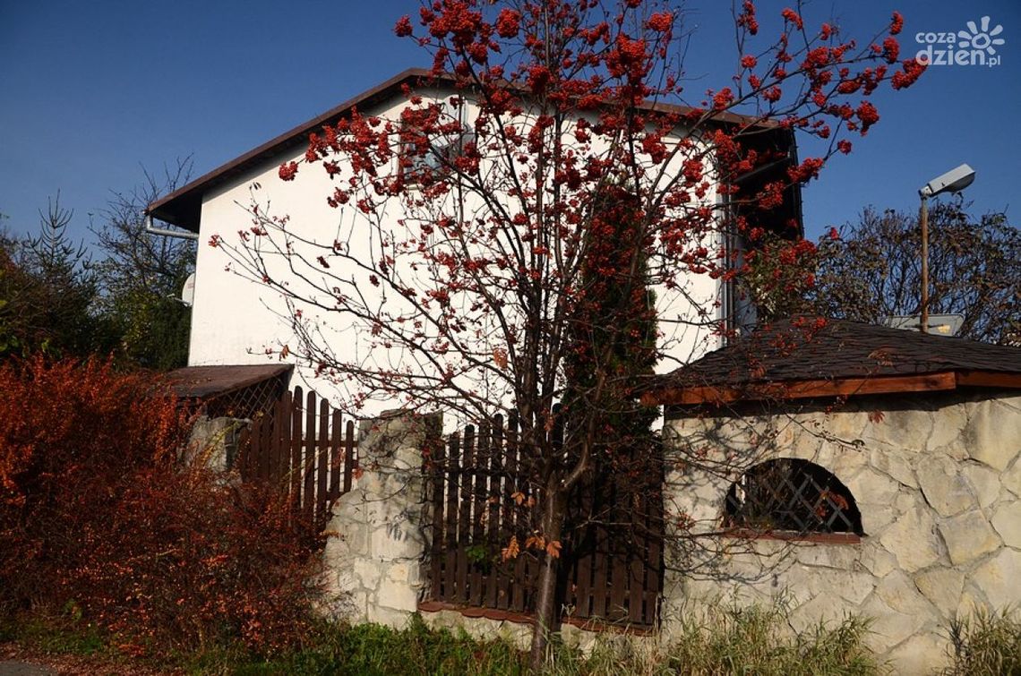 Radomskie dzielnice - Kaptur (ZOBACZ GALERIĘ ZDJĘĆ)