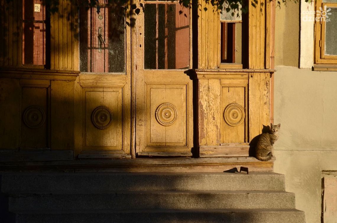 Radomskie dzielnice - Stare Miasto