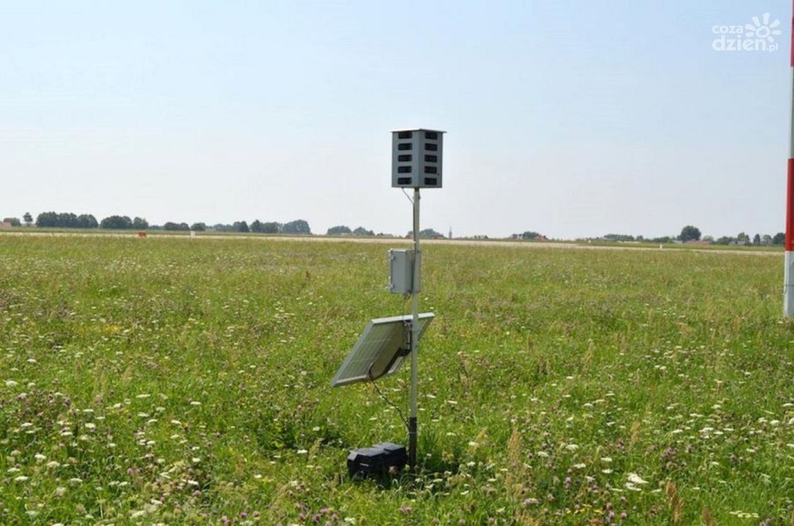 Radomskie lotnisko ma nowe urządzenia do odstraszania ptaków