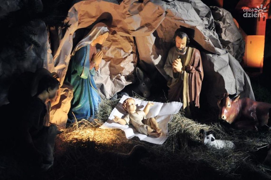 Radomskie szopki - ZOBACZ ZDJĘCIA