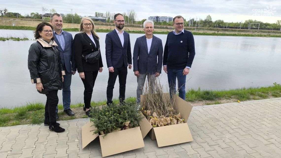 Radosław Witkowski chce tworzyć miejsce zielone. W sobotę będzie rozdawał sadzonki drzew Radosław Witkowski chce tworzyć miejsce zielone. W sobotę będzie rozdawał sadzonki drzew