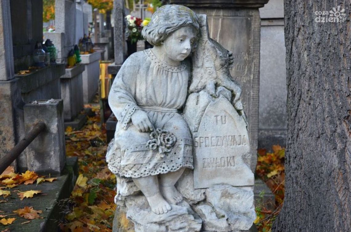 Ratujmy zabytki radomskiego cmentarza!