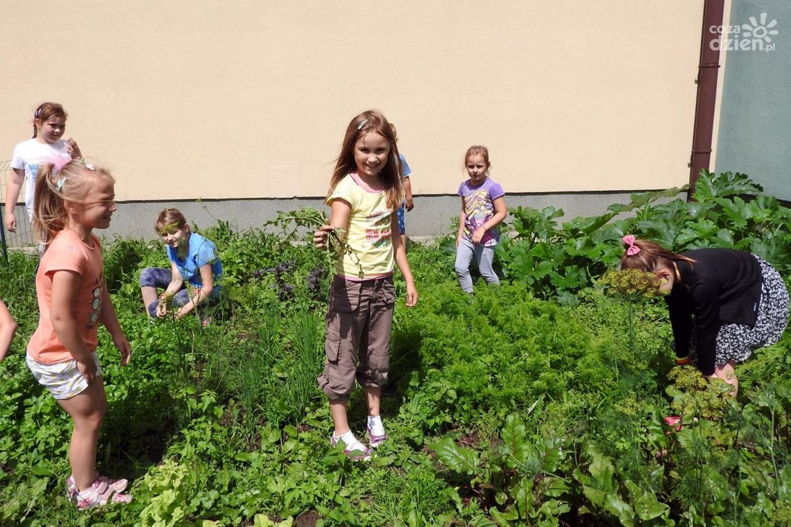 Razem dla środowiska w PSP 26