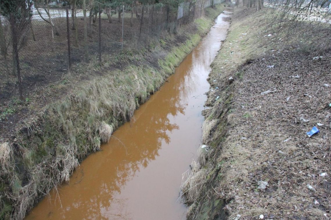 Rdzawa Mleczna. Czyszczą kolektor
