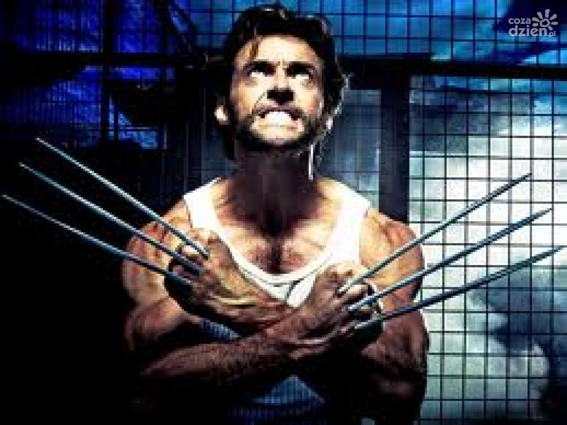Recenzja na lato - "Wolverine"