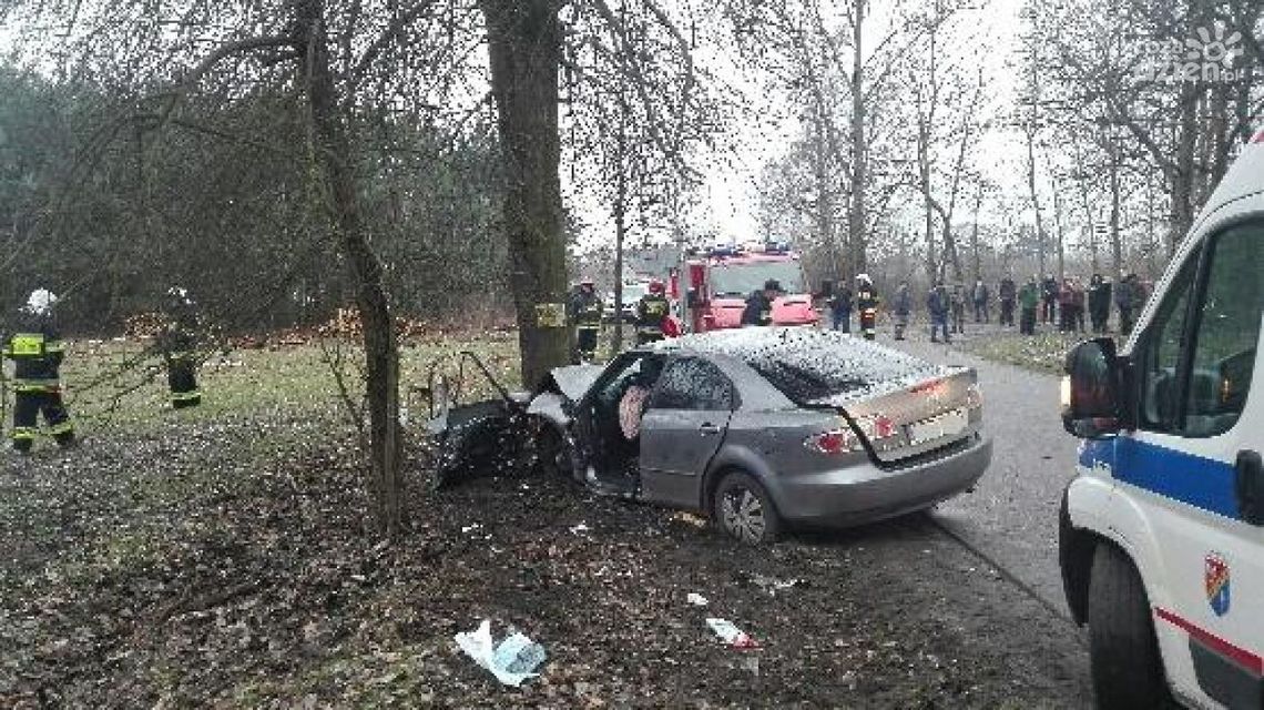 REGION. Mazda uderzyła w drzewo REGION. Mazda uderzyła w drzewo