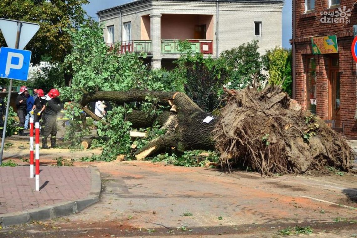 REGION: Ponad 1 mln zł na usuwanie skutków żywiołów