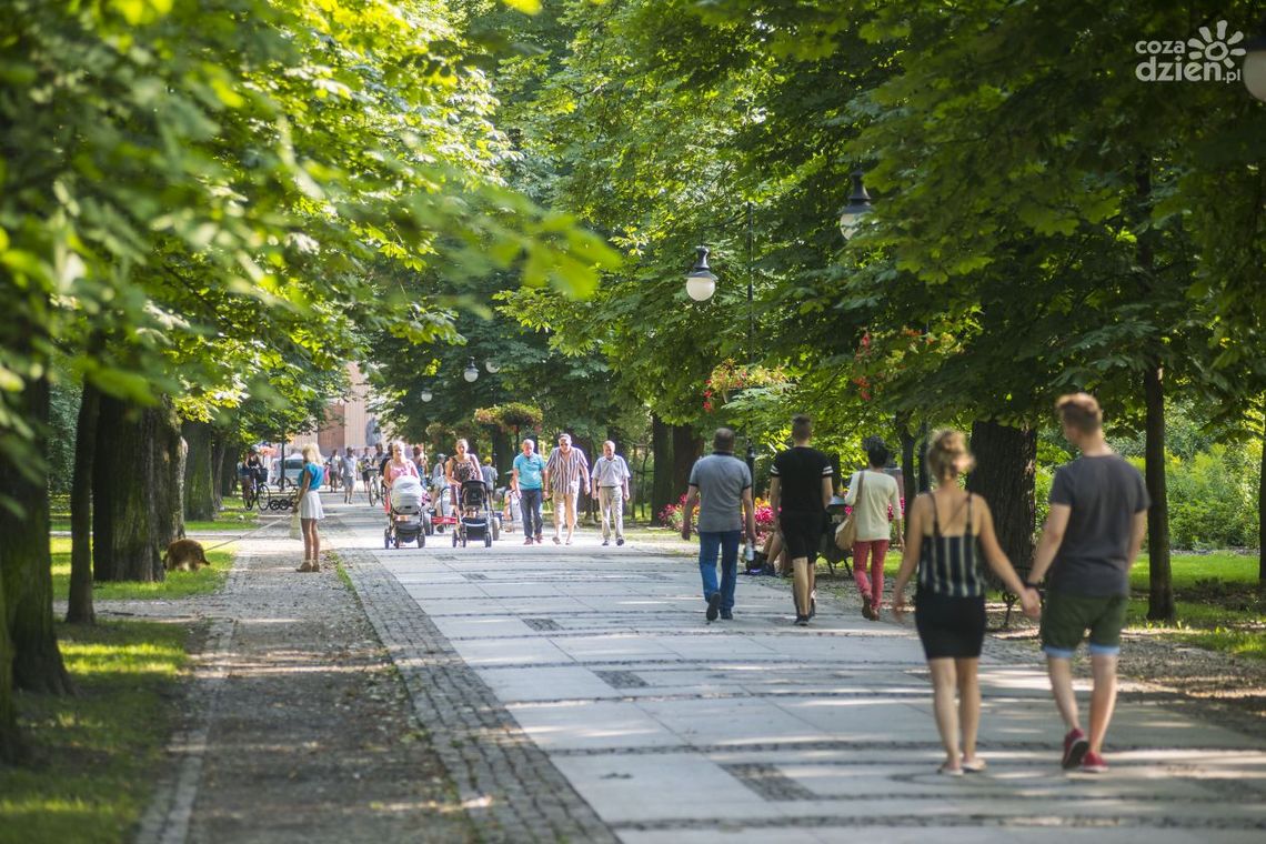Rekord oddanych głosów w BO