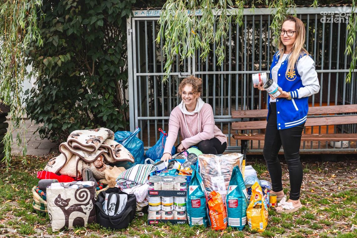 Rekordowa zbiórka dla schroniska zakończona sukcesem Rekordowa zbiórka dla schroniska zakończona sukcesem