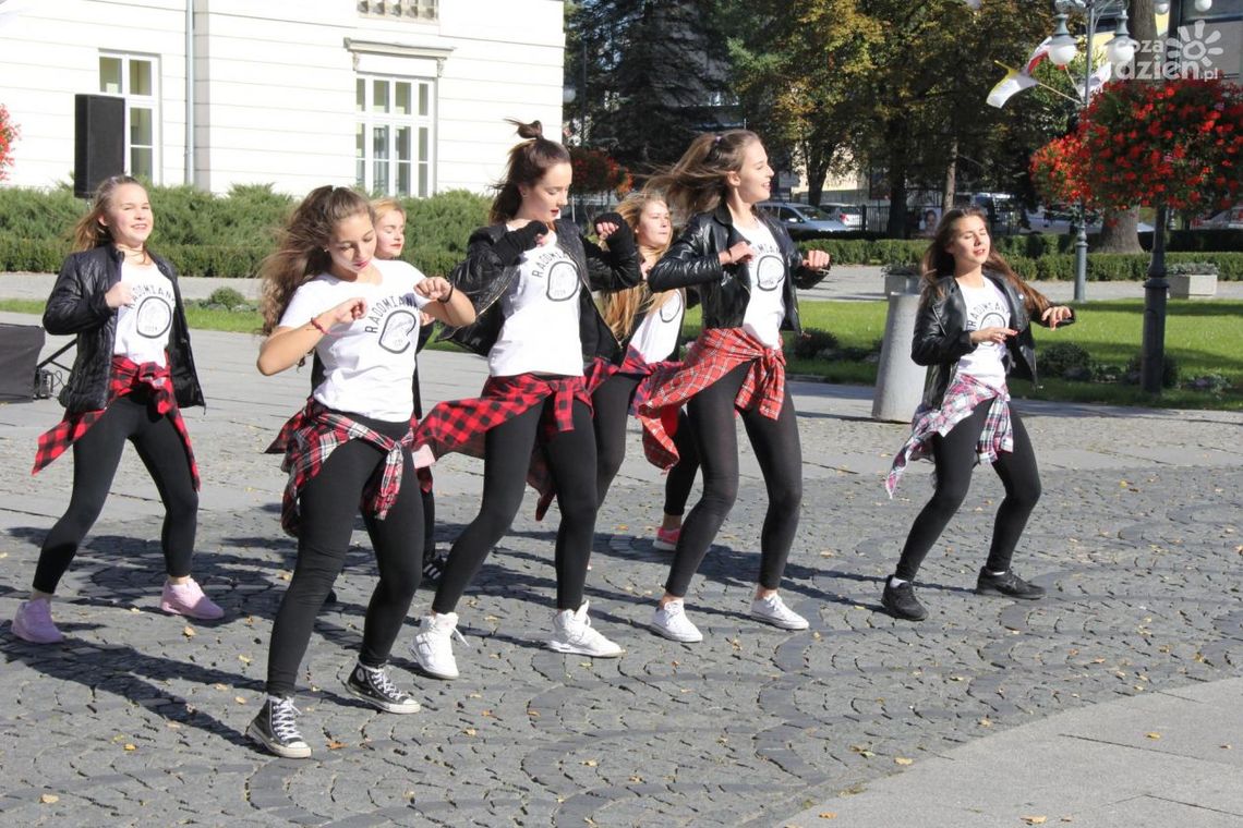 Rekordowo zdrowy Radom