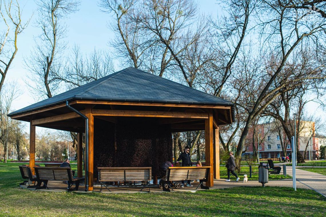 Relaksacyjne Poranki na Trawie w Radomiu