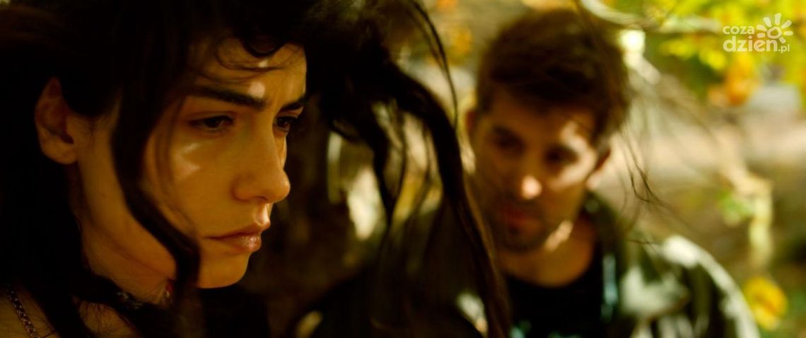 Repertuar kina studyjnego