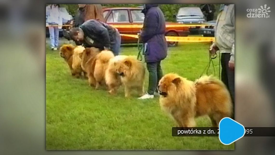 Retrodziennik z dnia 22 maja 1995 r.