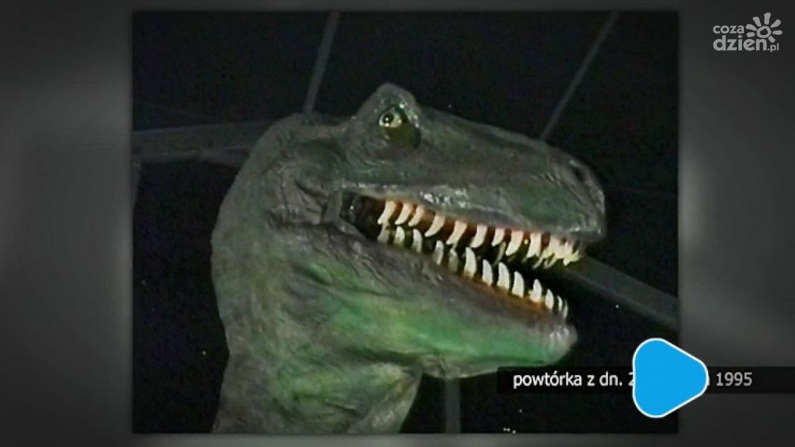 Retrodziennik z dnia 23 czerwca 1995 r.