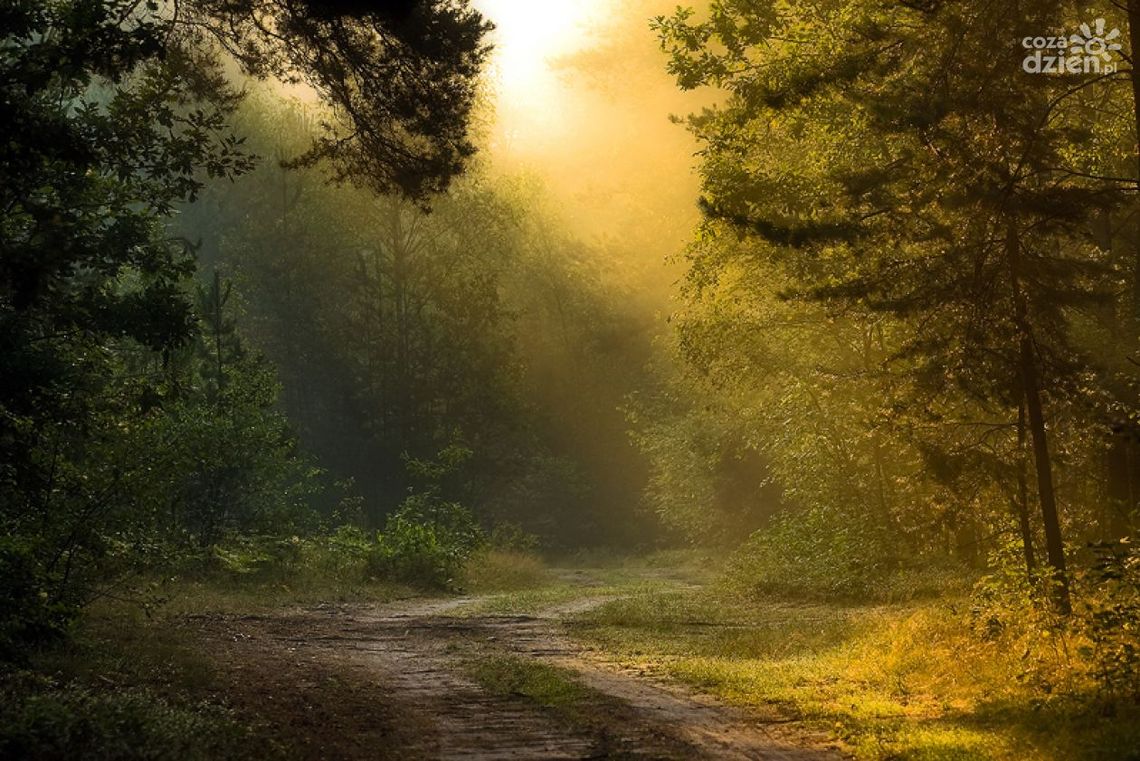Rezerwat przyrody w naszym regionie?