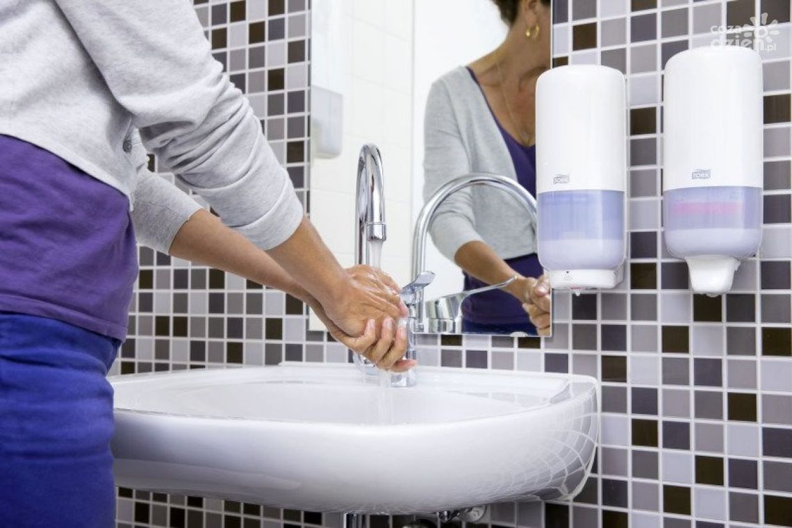 Rodzaje dozowników do mydła Tork