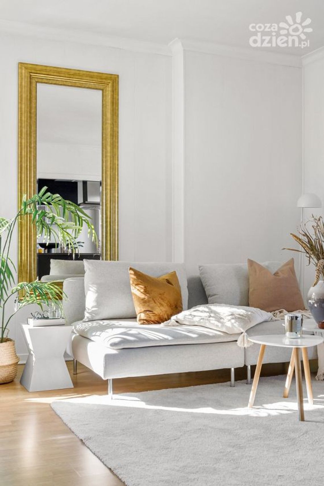 Rodzaje rolet plisowanych