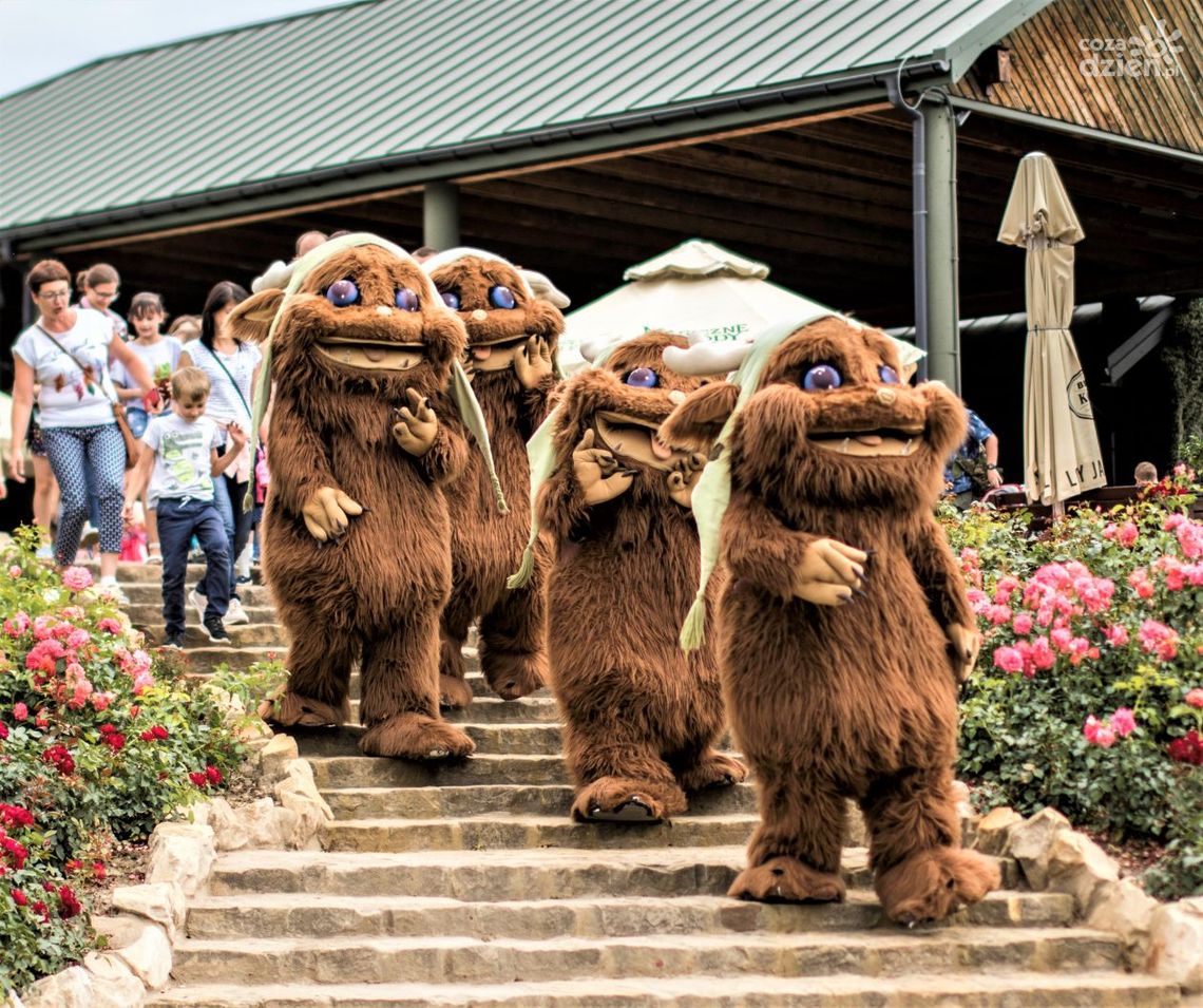 Rodzina, przyroda, przygoda! Rodzina, przyroda, przygoda!