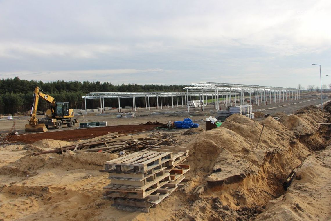 Rośnie Centrum Dystrybucji i Przetwórstwa Rolnego Rośnie Centrum Dystrybucji i Przetwórstwa Rolnego