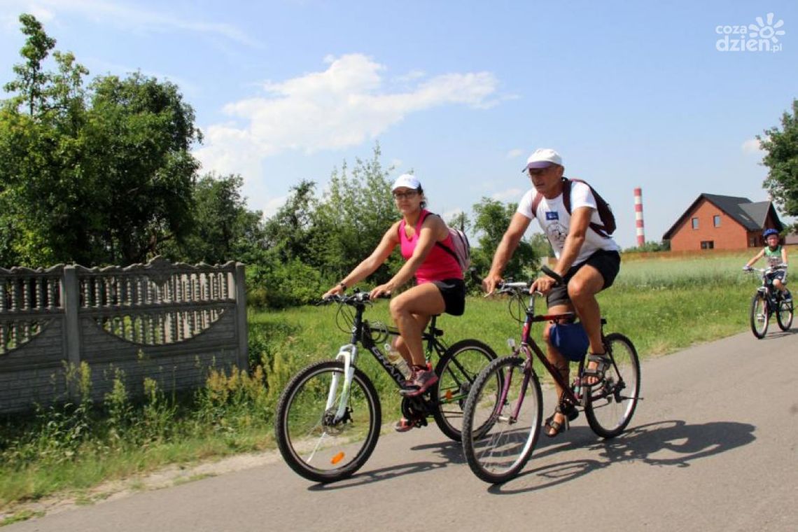 Rower jest dobry na wszystko!