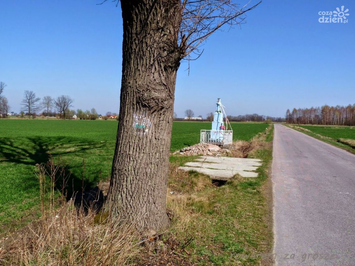 Rowerowe szlaki wokół Radomia - cz. II