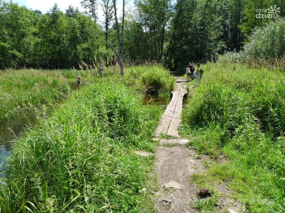 Rowerowe szlaki wokół Radomia - cz. VI