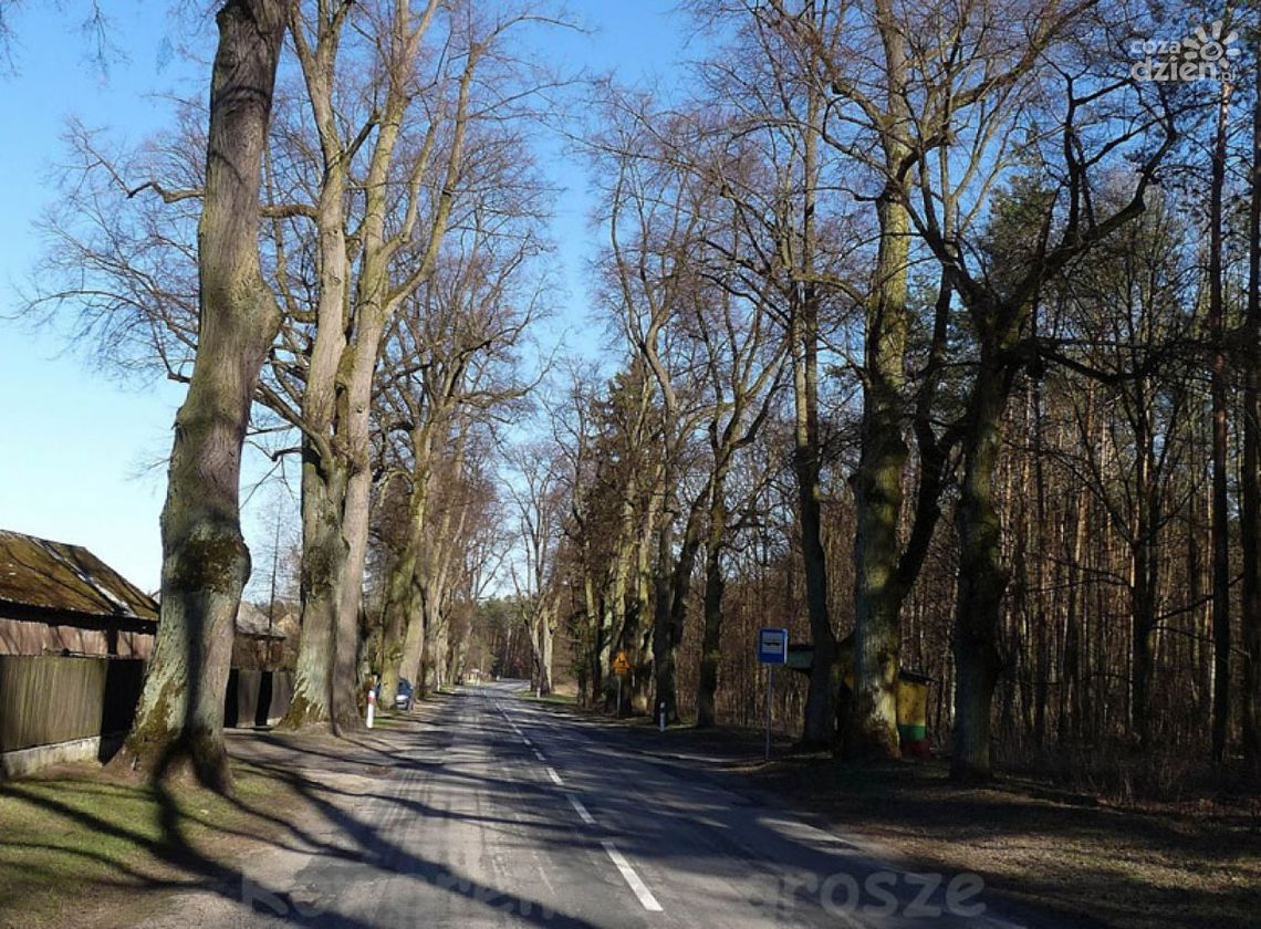 Rowerowe szlaki wokół Radomia - cz. VIII
