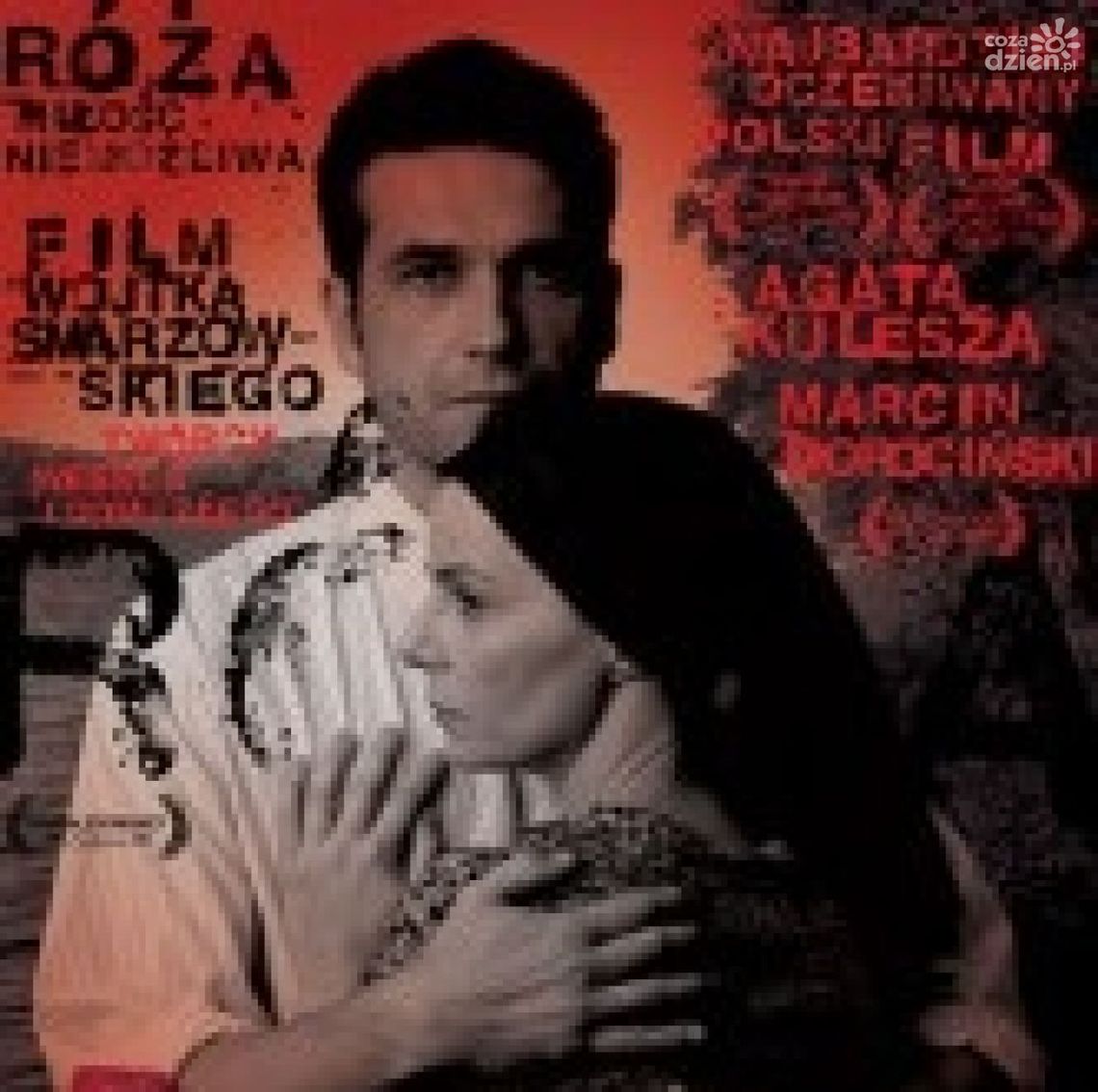 "Róża" Smarzowskiego