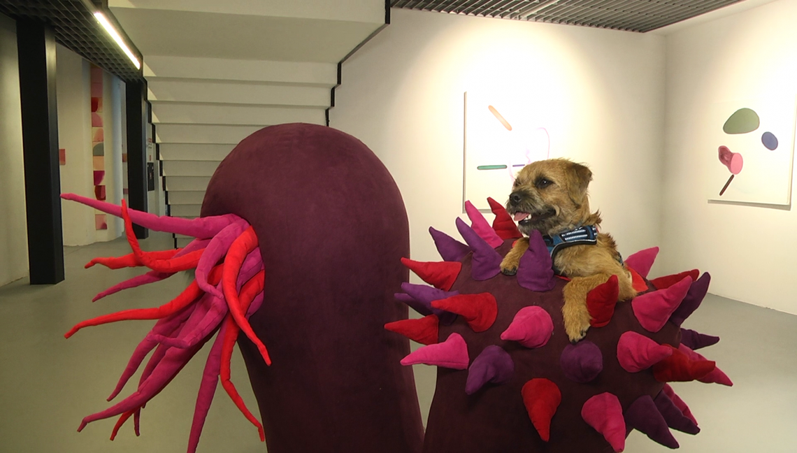 Róże i róże Basi Bańdy