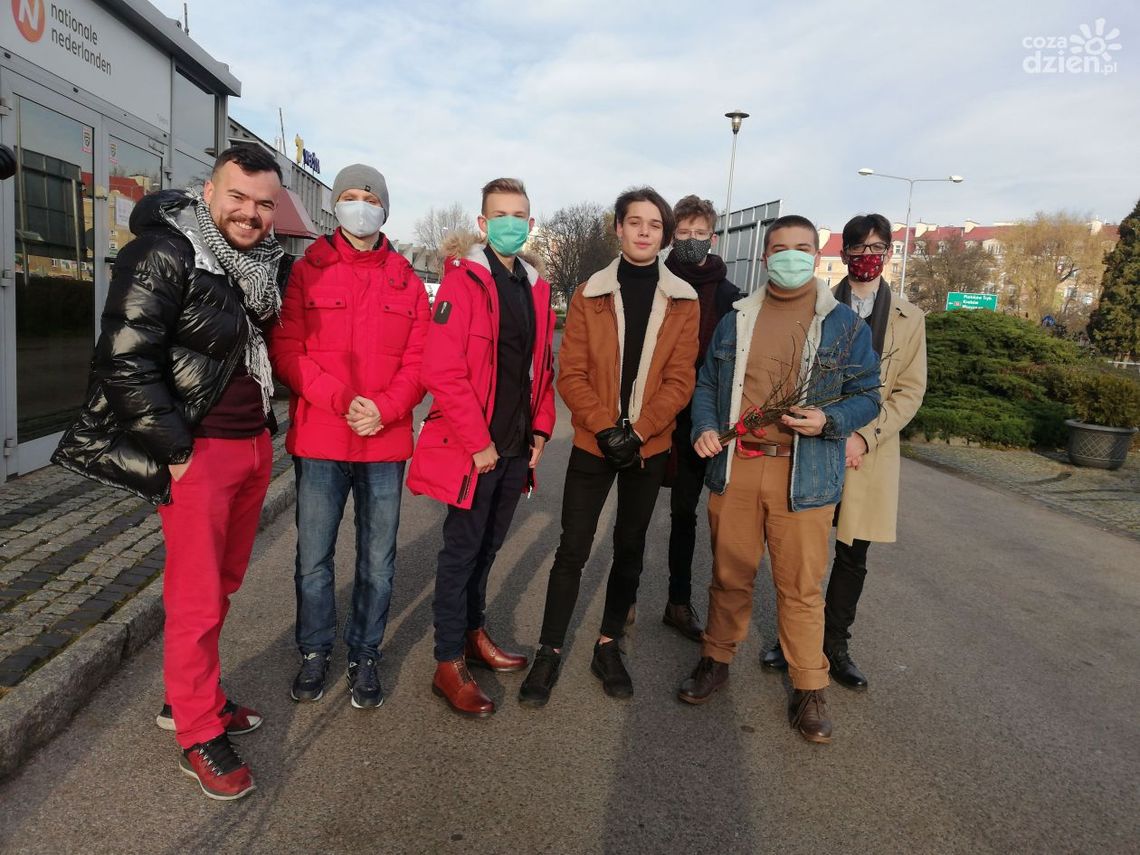 Rózga dla PiS od młodzieżówki partii KORWiN