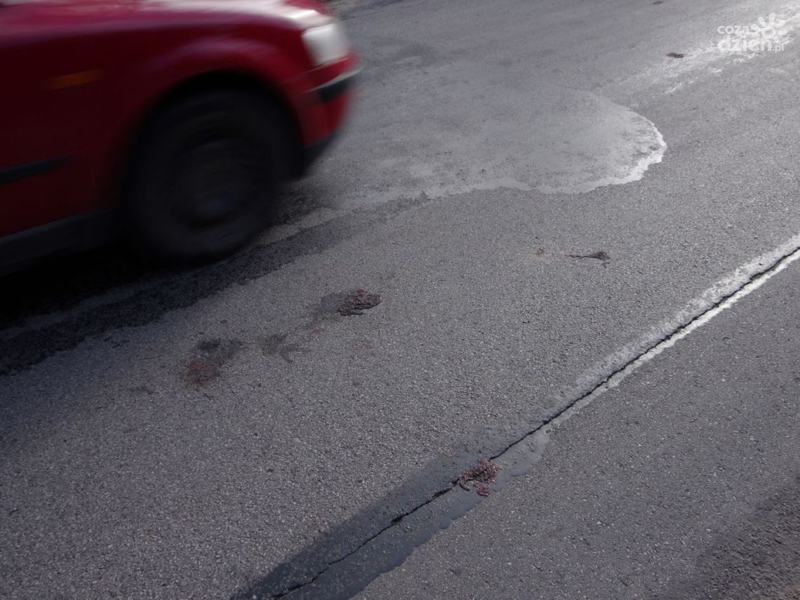 Rozjeżdżają tu żaby - alarmują przyrodnicy