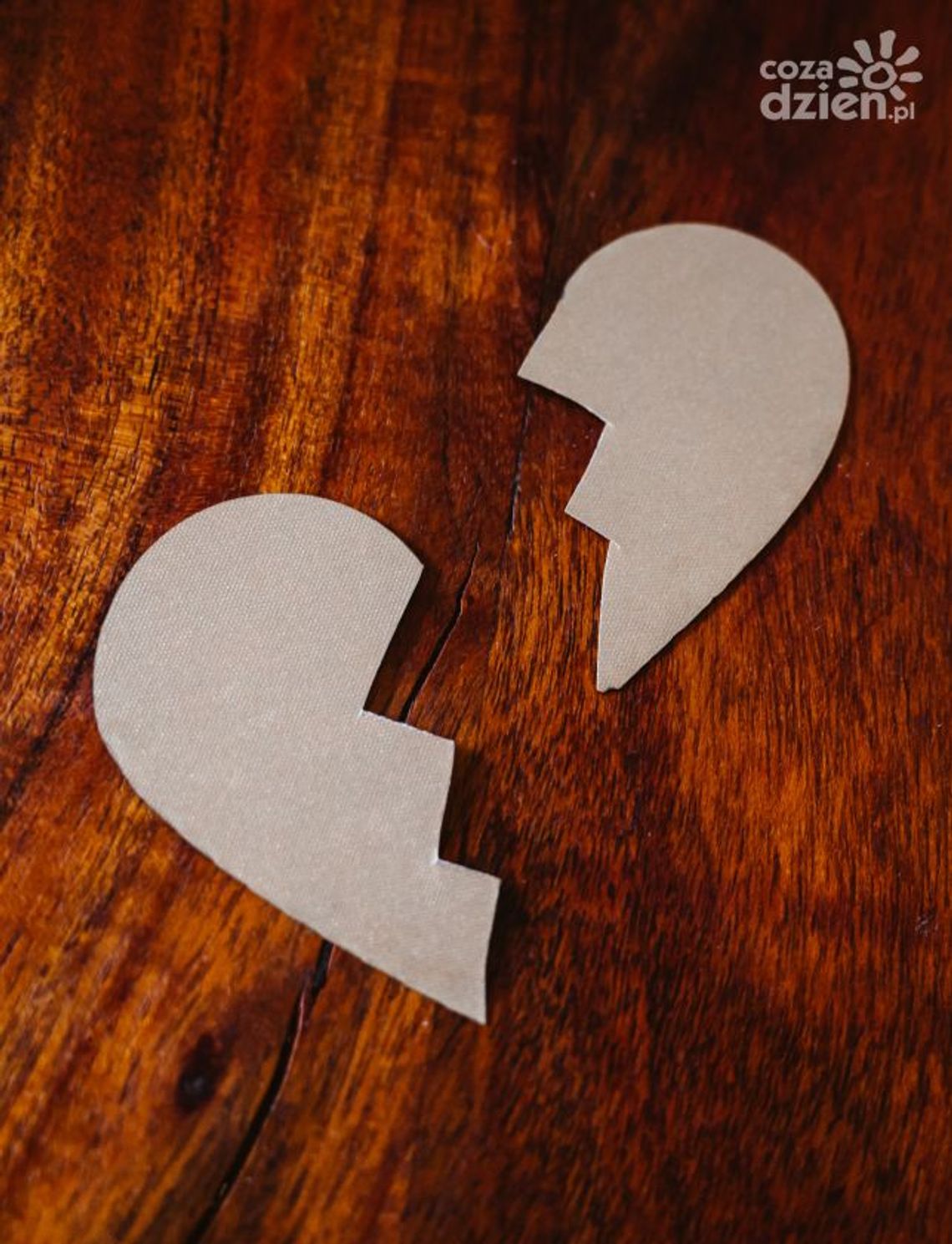 Rozwód z winą czy rozwód bez winy - wsparcie adwokata (adwokat Wrocław - adwokat Radosław Grzyb)  