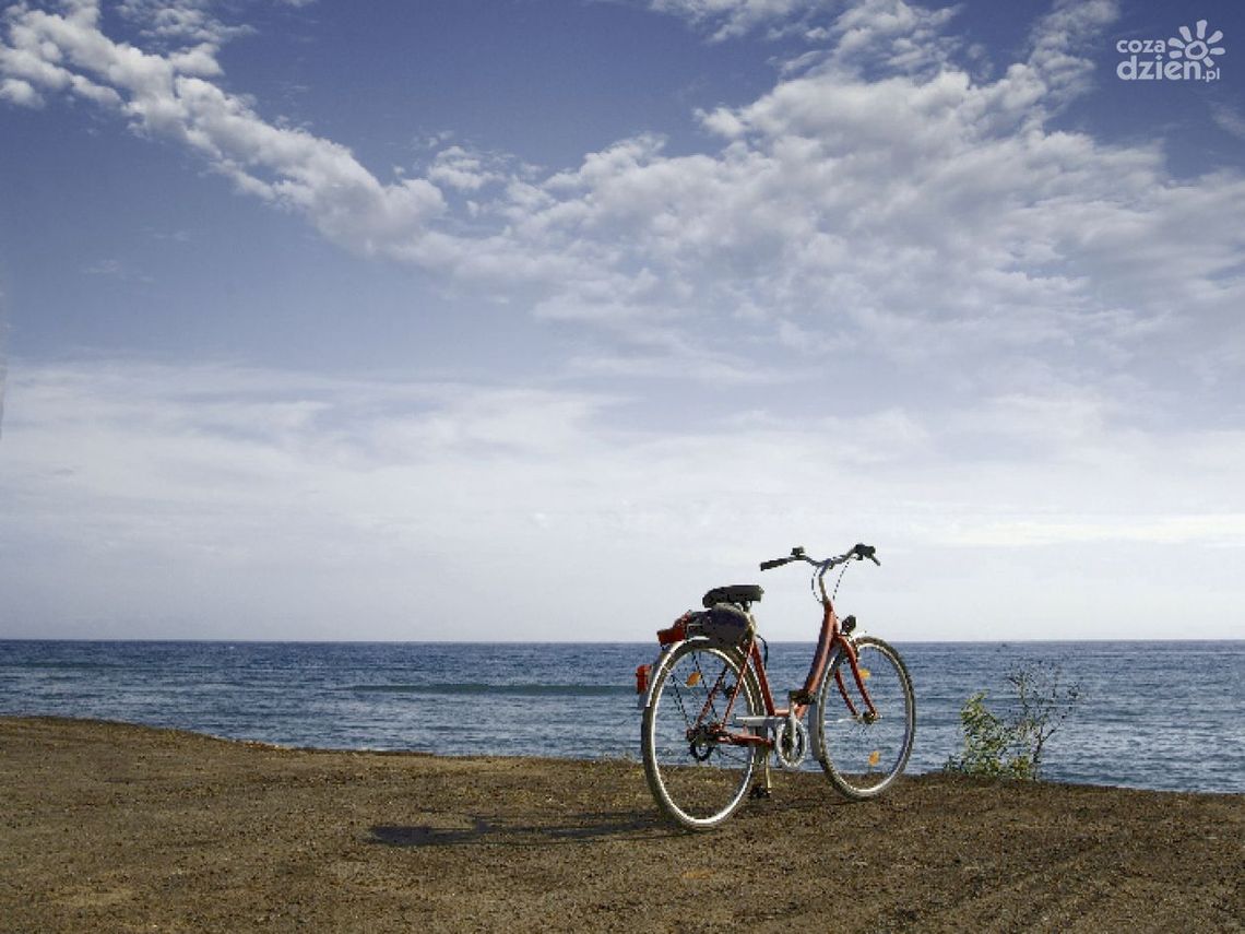 Rusz się! Rusz się!
