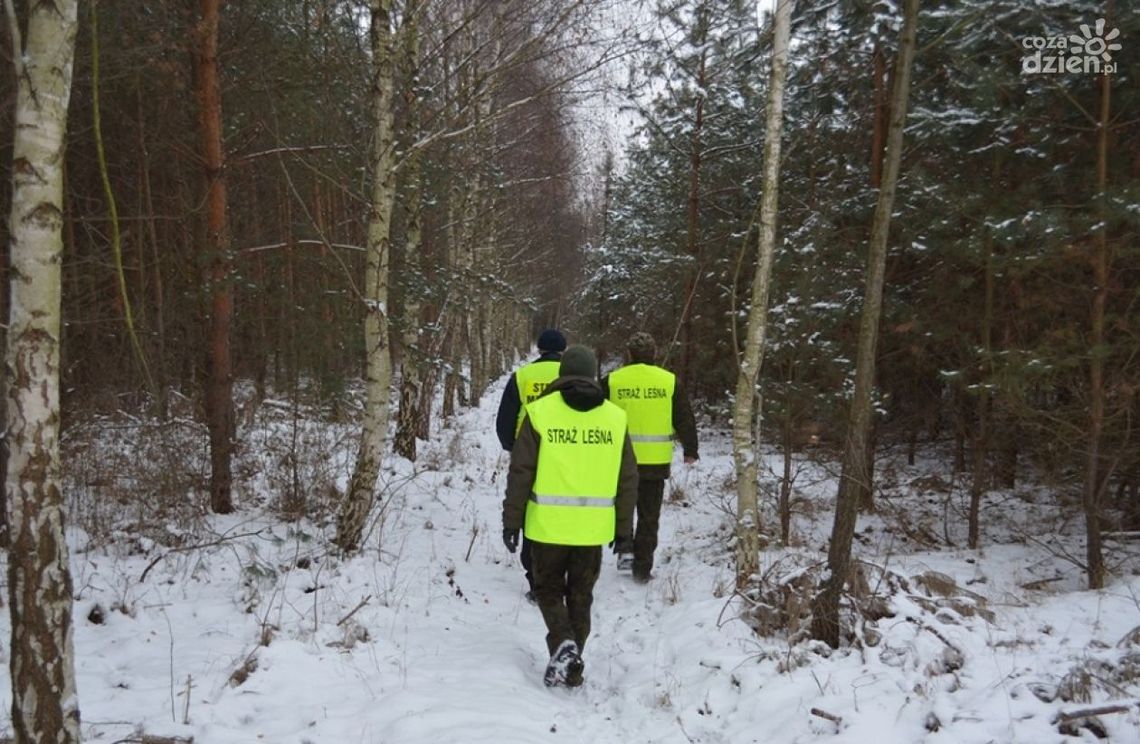 Rusza akcja "Choinka-Kłusownik"