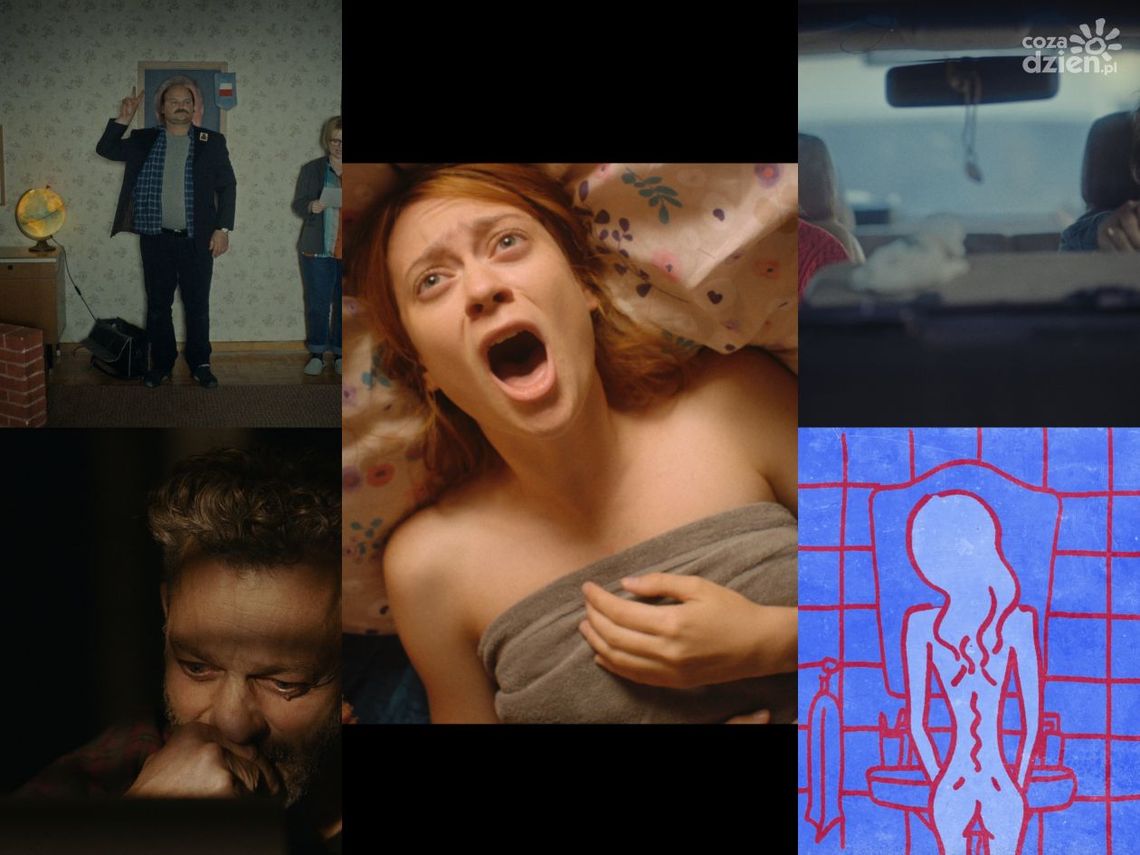 Rusza Konkurs Główny Kameralnego Lata!