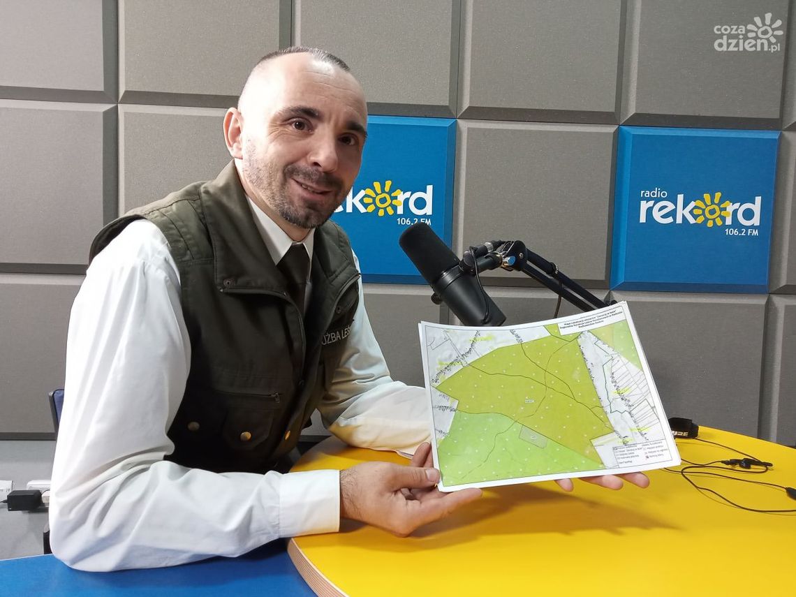 Ruszył program "Zanocuj w lesie"