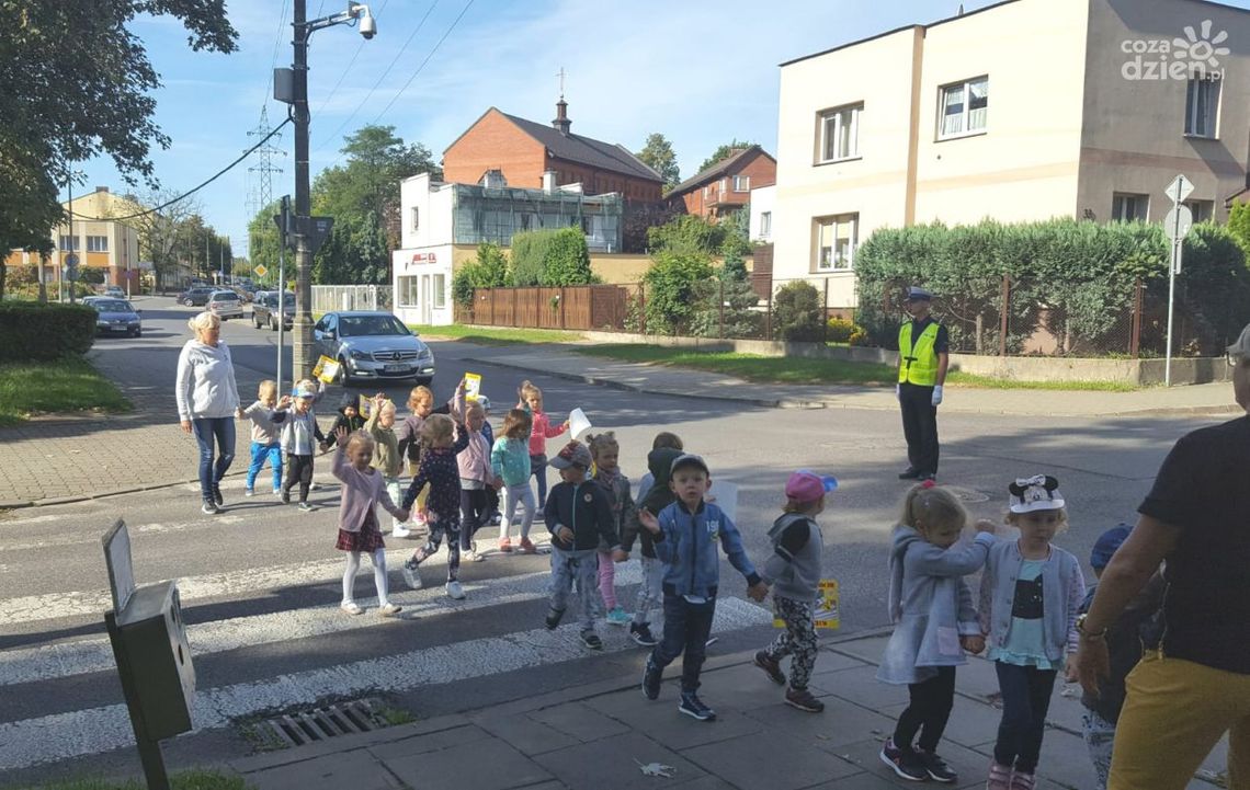 Ruszyła akcja „Kierowco! nie polujemy na zebrach”