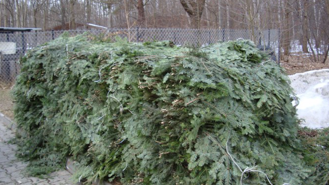 RUSZYŁA AKCJA STROISZ! RUSZYŁA AKCJA STROISZ!