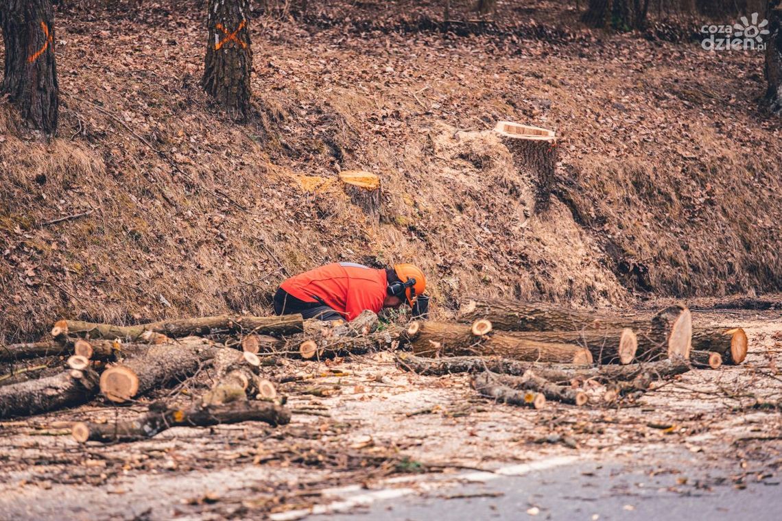 Ruszyły prace przy przebudowie ul. Szydłowieckiej