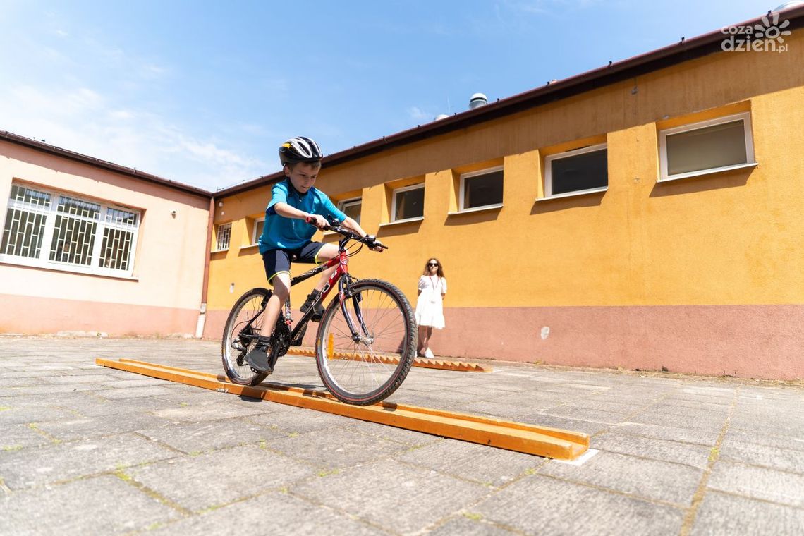 Są świadomymi uczestnikami ruchu