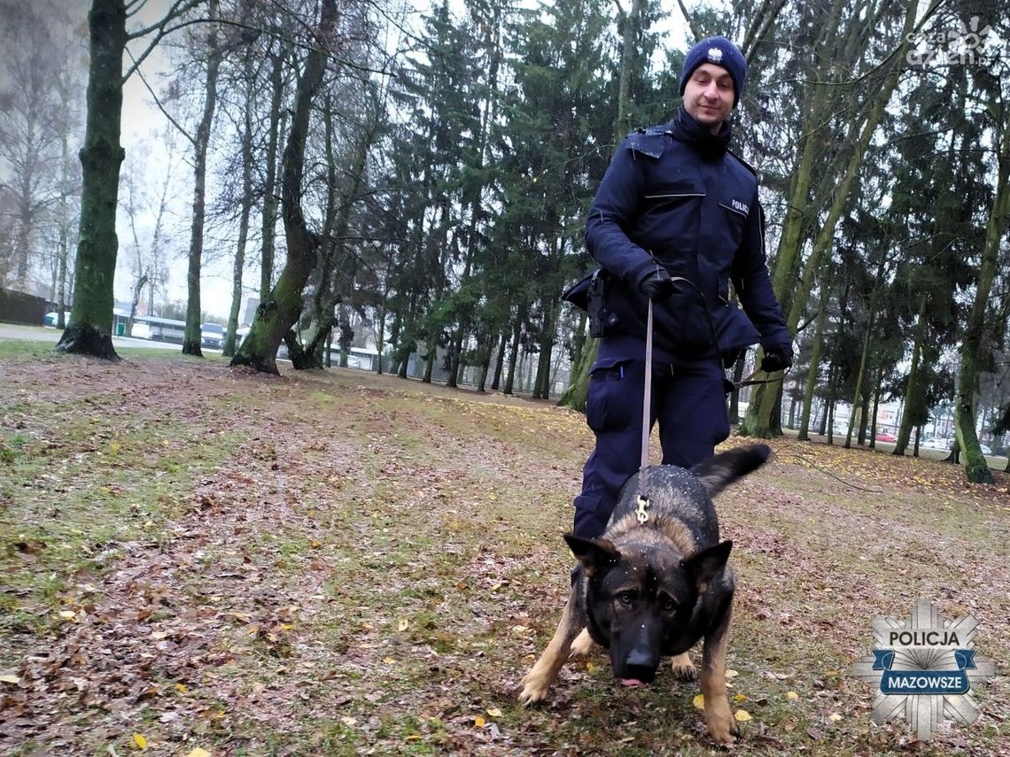 Sadza trafi do radomskiej komendy