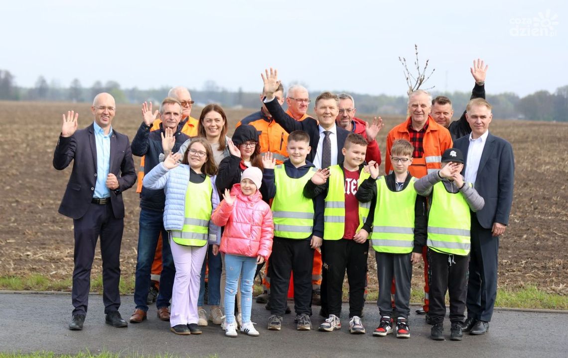 Sadzili drzewa w okolicach nowego ronda