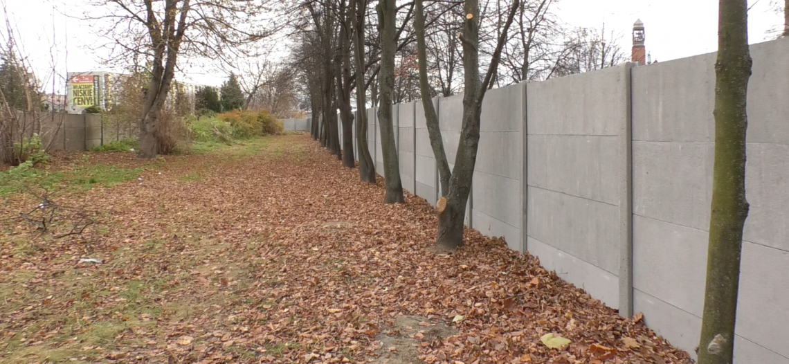 Samobójstwo na cmentarzu przy Limanowskiego?