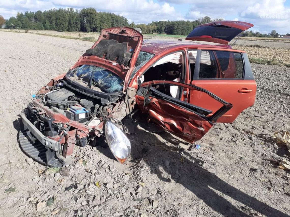 Samochód uderzył w drzewo. Kierowca w szpitalu