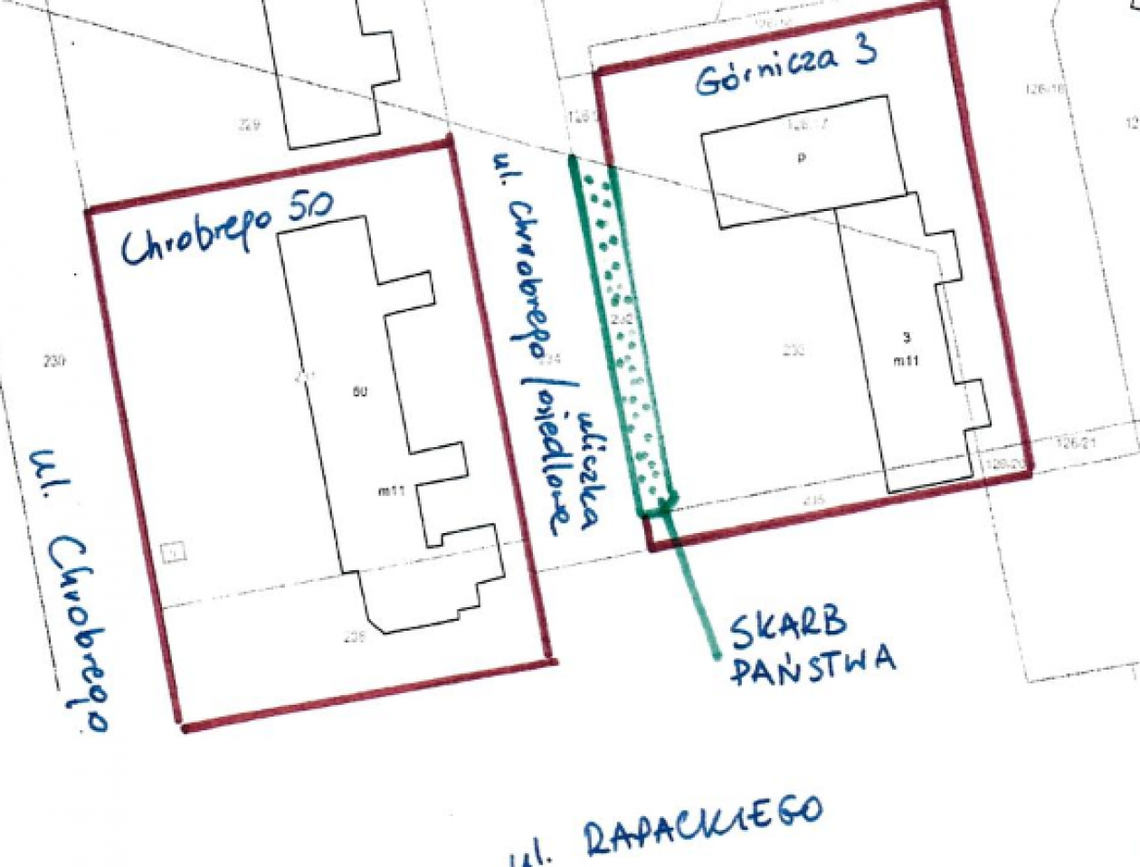 Samochody niszczą zieleń. Będą kontrole