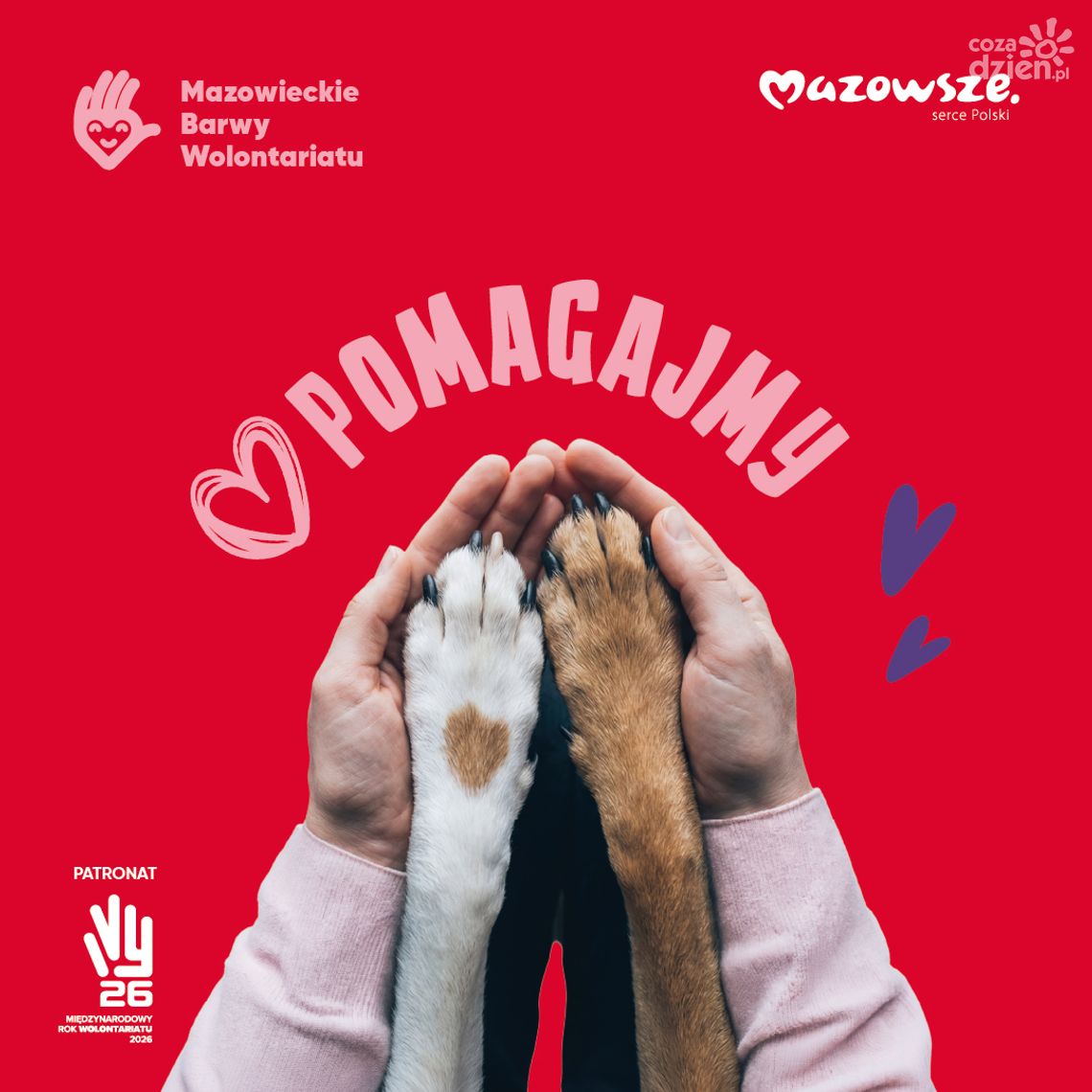 Samorząd województwa mazowieckiego nagrodzi najlepszych wolontariuszy Samorząd województwa mazowieckiego nagrodzi najlepszych wolontariuszy