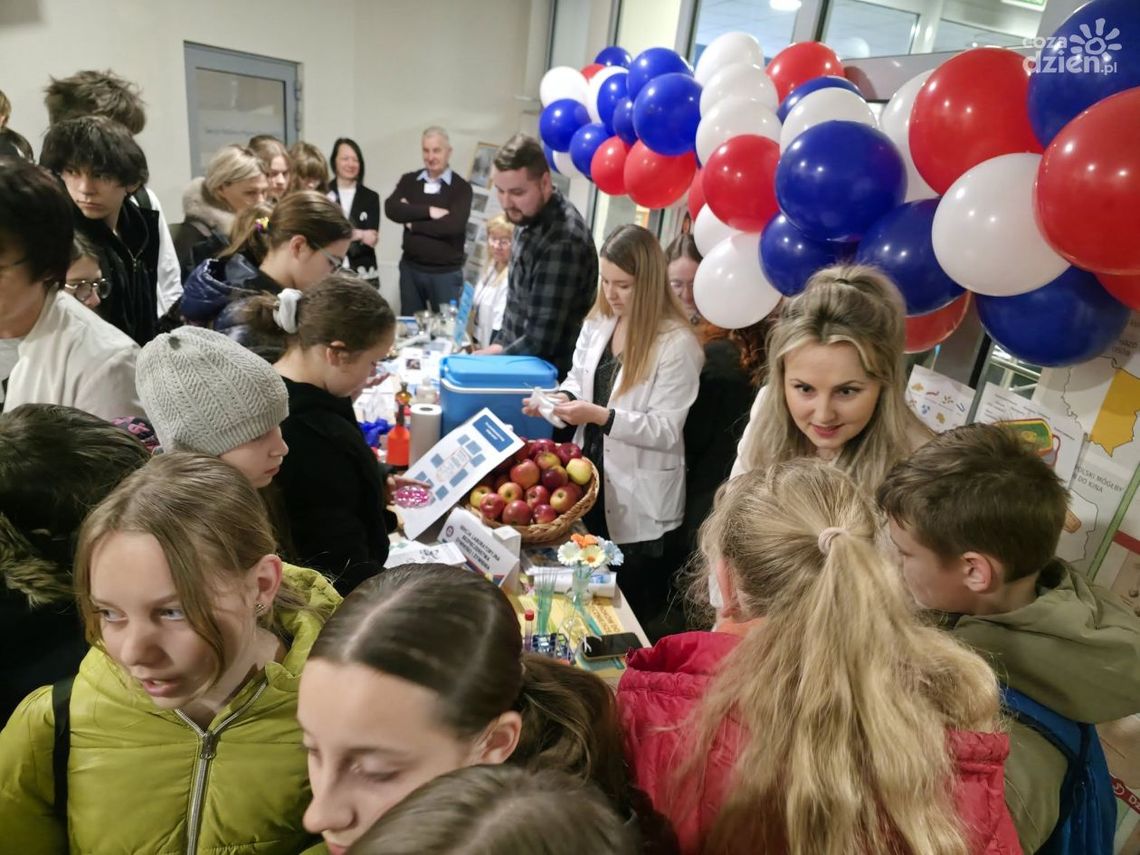 Sanepid od kuchni Sanepid od kuchni