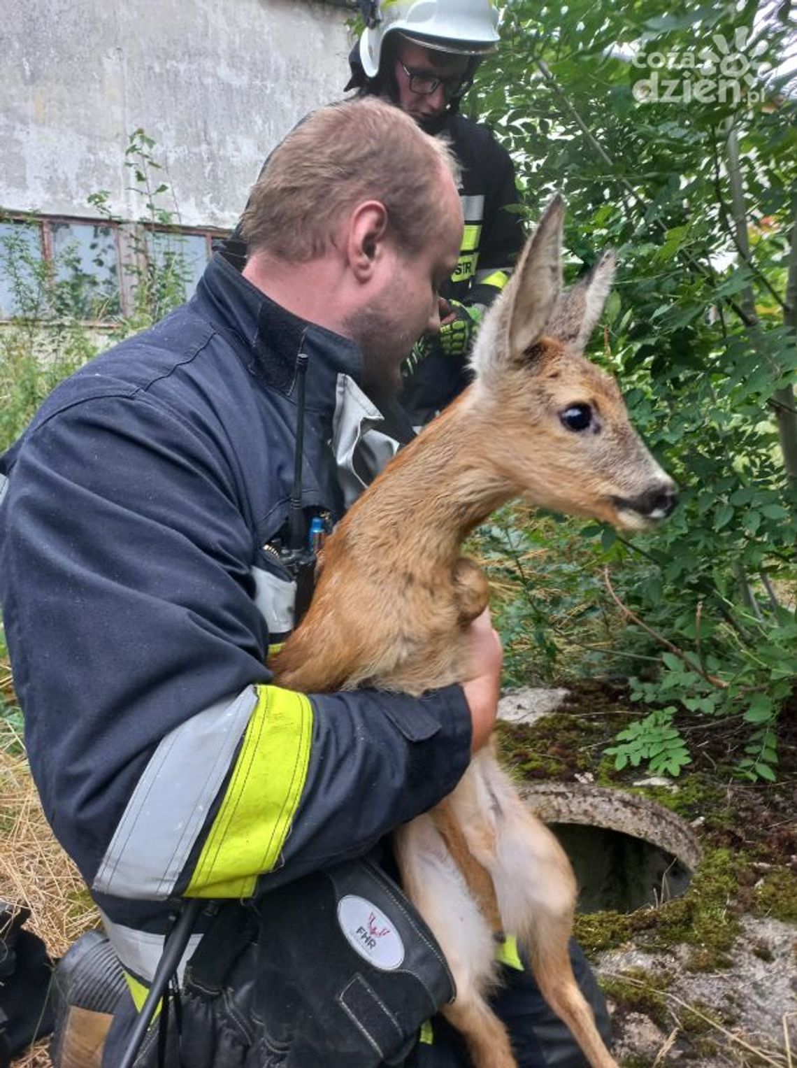 Sarenka wpadła do studni, pomogli strażacy 