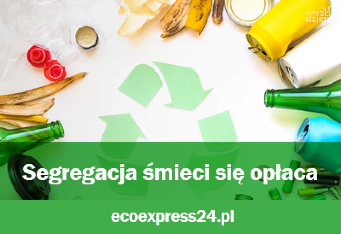 Segregacja śmieci się opłaca