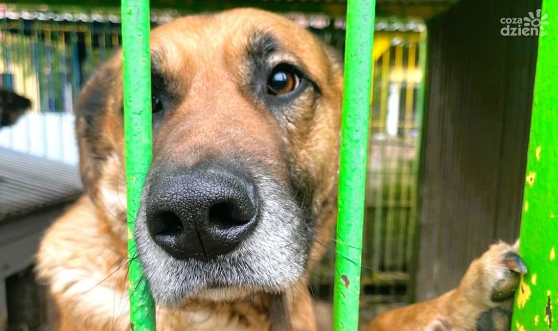 Sejmik Mazowsza pomaga bezdomniakom! 